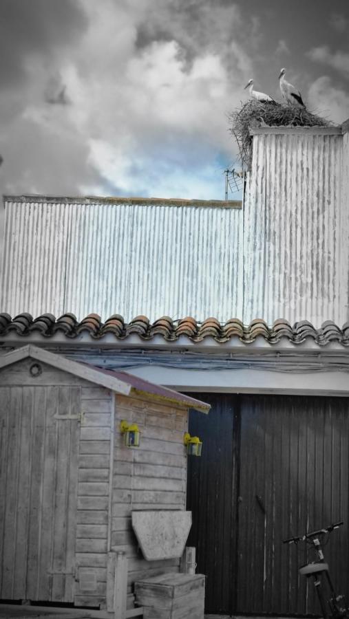 Casa Rural La Cruz El Gordo Εξωτερικό φωτογραφία